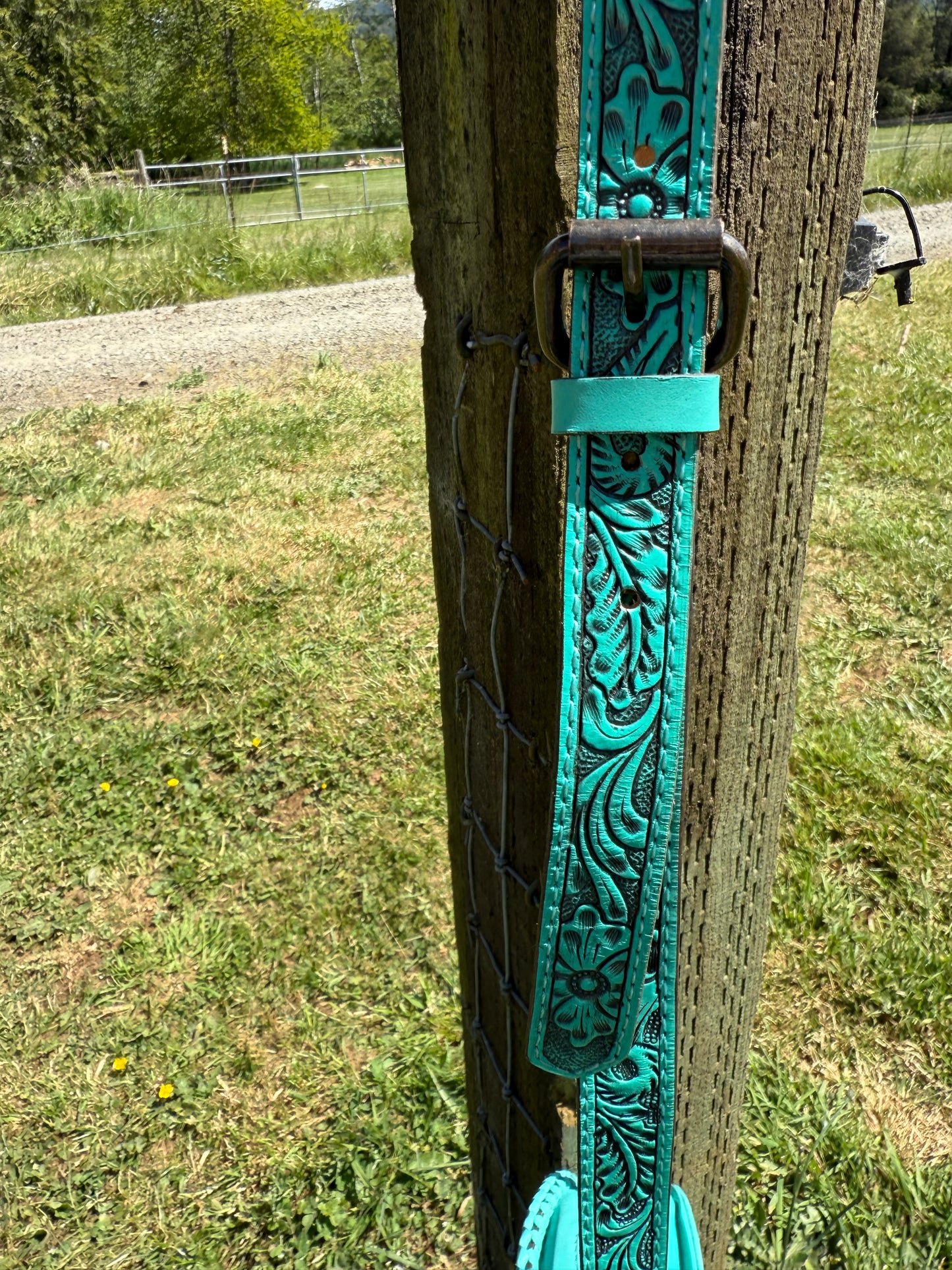 Turquoise Cowhide Canteen Bag  Crossbody